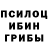 Галлюциногенные грибы GOLDEN TEACHER Neplotune inc
