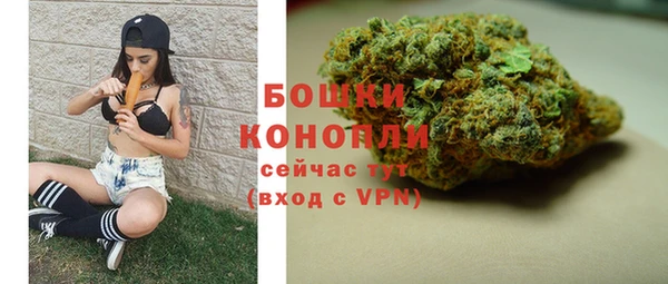 молекула духа Зеленодольск