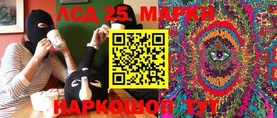 шишки Гай