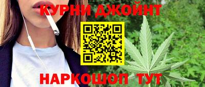 Альфа ПВП Гатчина