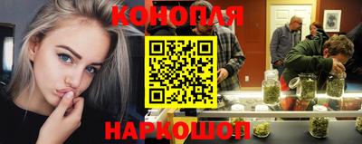 Альфа ПВП Гатчина