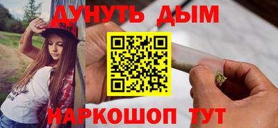 шишки Гай