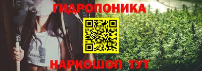 Альфа ПВП Гагарин