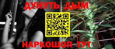 Альфа ПВП Гатчина