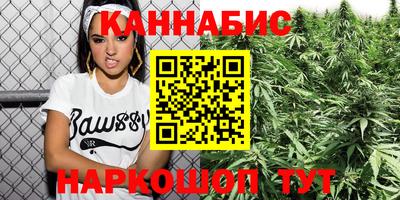 шишки Гай