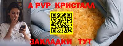 шишки Гай