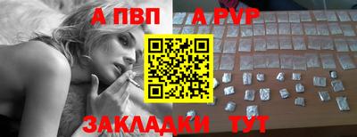 шишки Гай