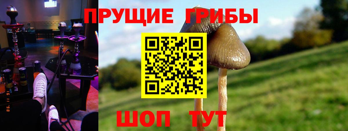 Галлюциногенные грибы Psilocybine cubensis  Кинель 