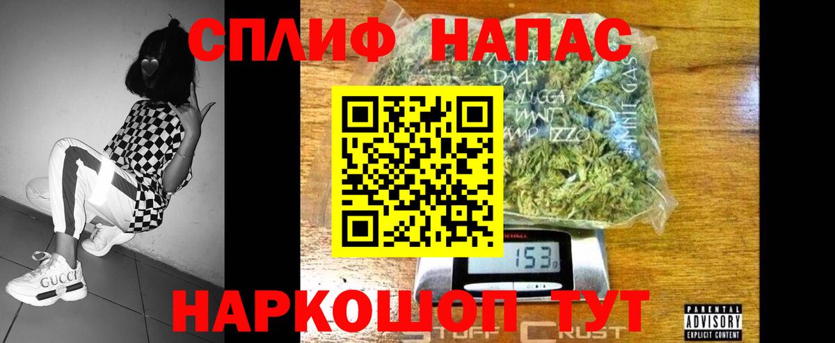 МАРИХУАНА сатива Кинель